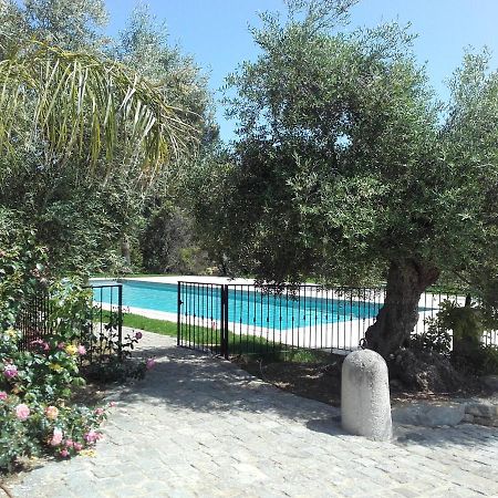 La Bastide De L'Oliveraie Ле Кастеле Екстериор снимка