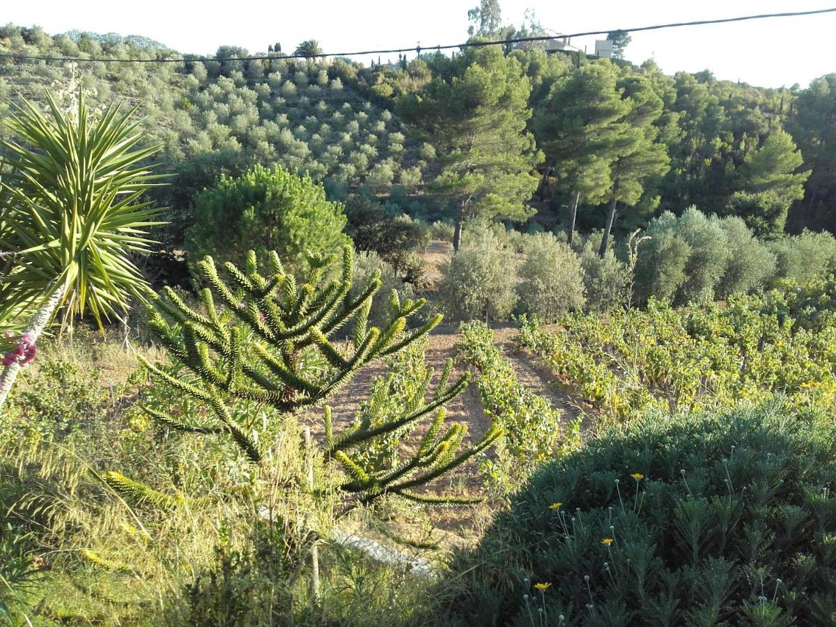 La Bastide De L'Oliveraie Ле Кастеле Екстериор снимка