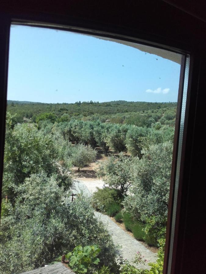 La Bastide De L'Oliveraie Ле Кастеле Екстериор снимка