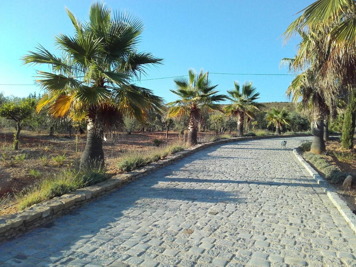 La Bastide De L'Oliveraie Ле Кастеле Екстериор снимка