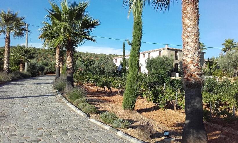 La Bastide De L'Oliveraie Ле Кастеле Екстериор снимка