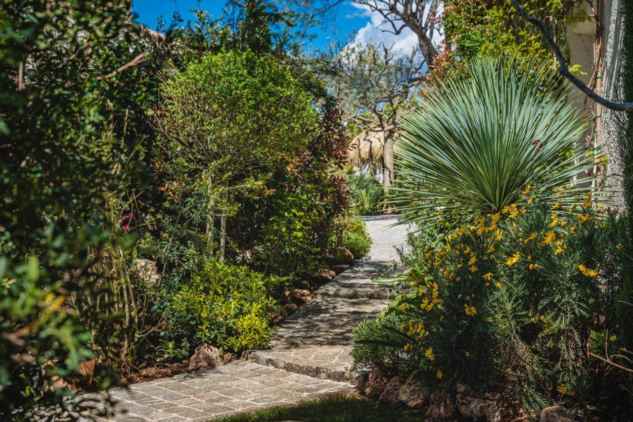 La Bastide De L'Oliveraie Ле Кастеле Екстериор снимка